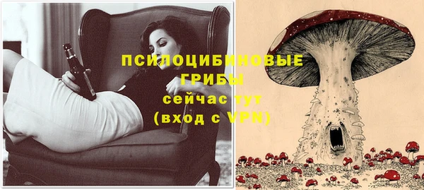прущая мука Абинск