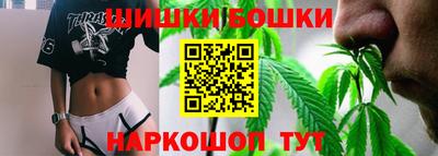 стаф Новодвинск