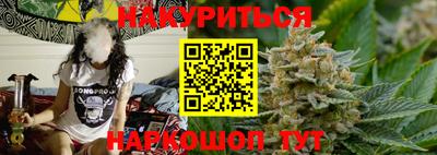 прущие грибы Новозыбков