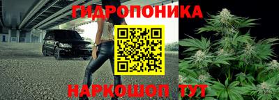 стаф Новодвинск