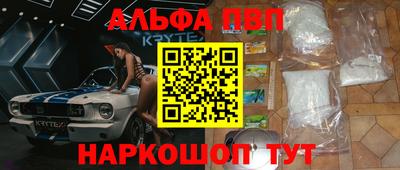 стаф Новодвинск