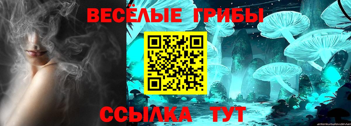 Псилоцибиновые грибы GOLDEN TEACHER Химки