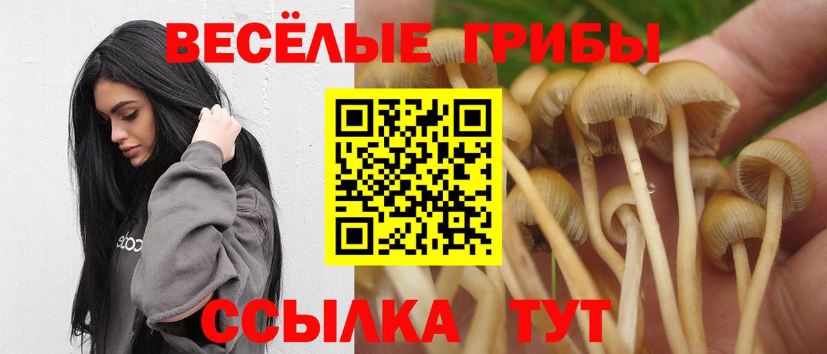 Псилоцибиновые грибы MAGIC MUSHROOMS  Псилоцибиновые грибы MAGIC MUSHROOMS  Химки  Вход с VPN 
